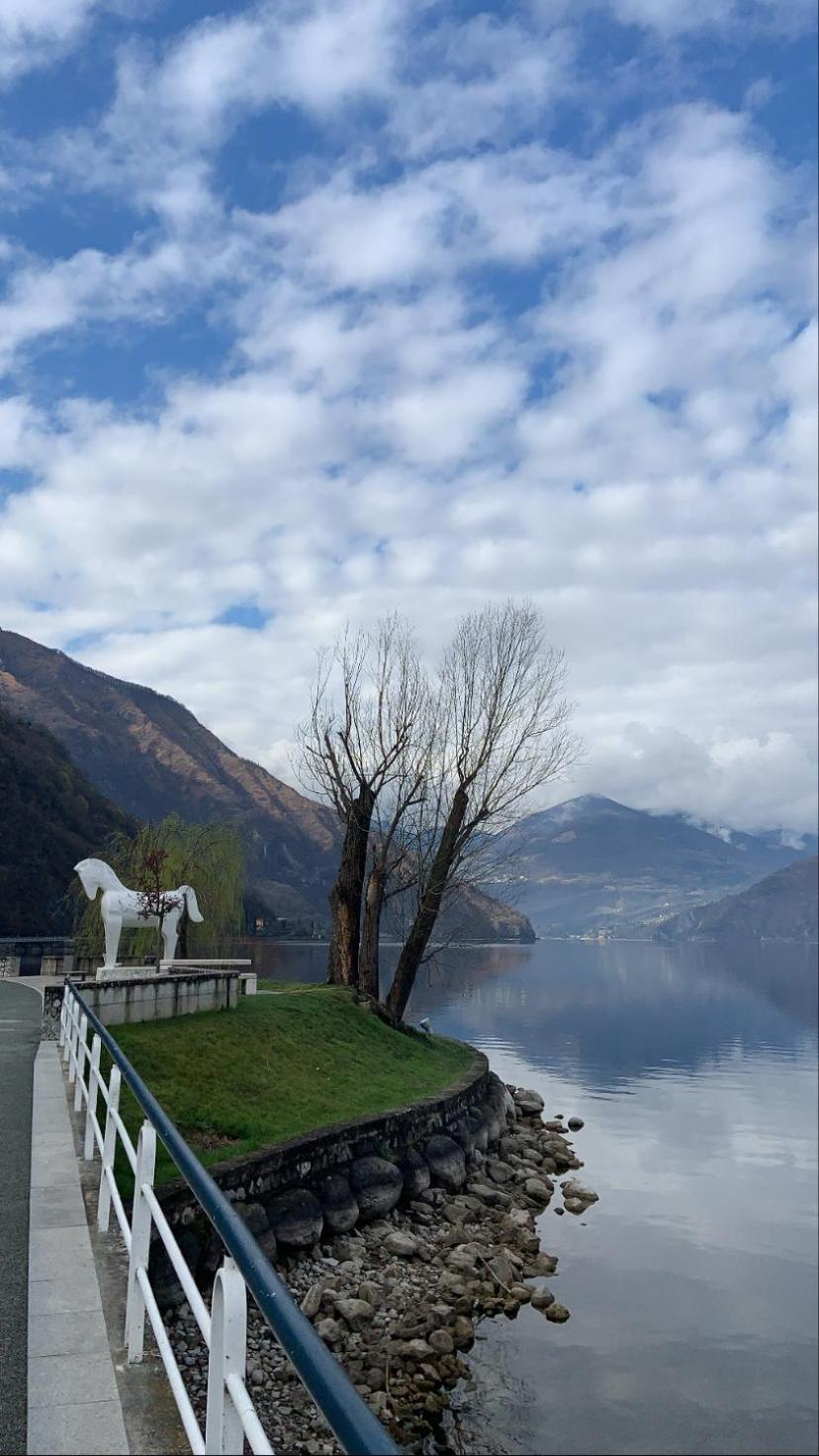 Casa Berlai, Bilocale Sul Lago Villa ปิโซเญ ภายนอก รูปภาพ